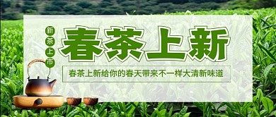 春茶上新促销茶叶新媒体配图