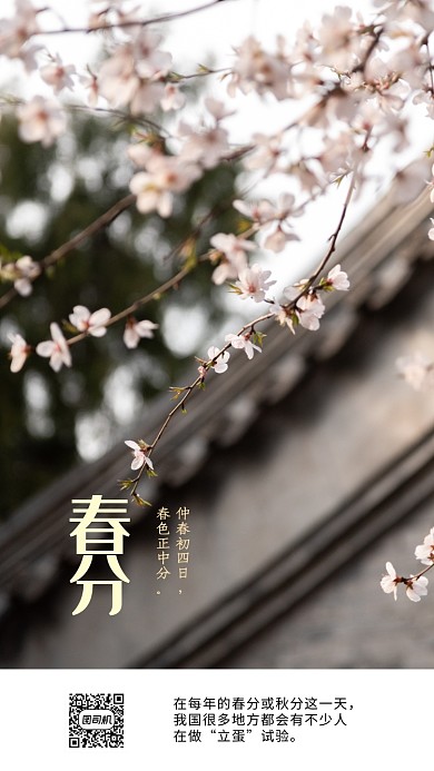 简约春分手机海报