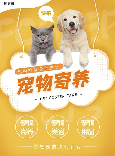 黄色可爱宠物海报