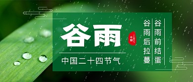绿色简约二十四节气谷雨公众号首图