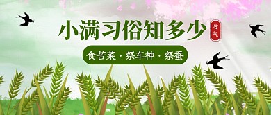 创意小满传统节气公众号首图