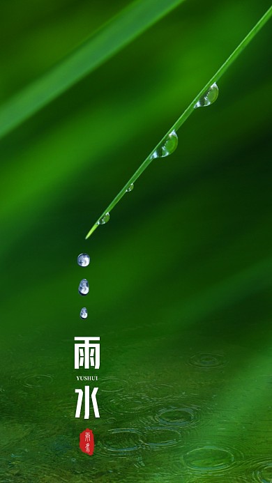 雨水节气手机海报