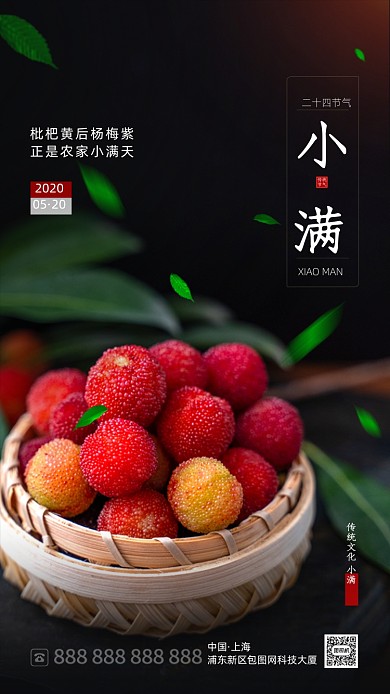 清新杨梅摄影小满节气海报