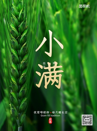 小清新传统节日小满海报