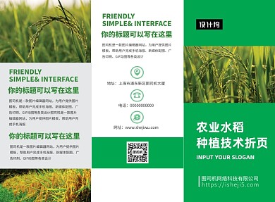 绿色农业水稻种植技术宣传三折页模板