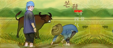 芒种传统节气手绘插画公众号首图