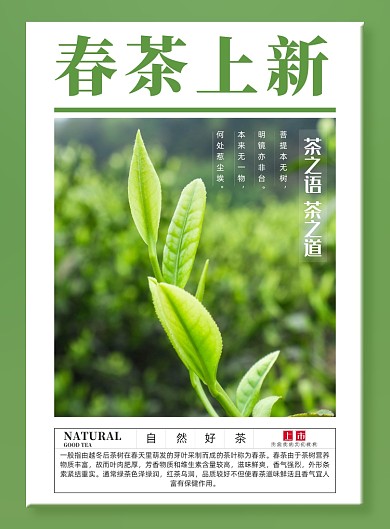 大气简约春茶上新印刷海报