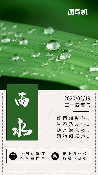 简约日签雨水节气手机海报