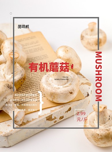 蘑菇有机农产品宣传海报