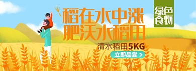 健康绿色大米淘宝电商banner图