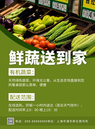 鲜蔬送到家印刷海报