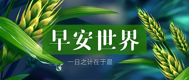 早安世界清新麦穗公众号首图