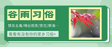 绿色简约节气谷雨习俗公众号首图