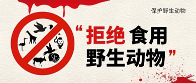 拒绝食用野生动物手绘公众号首图