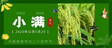 中国传统节日二十四节气小满