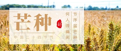 传统节气芒种简约新媒体配图