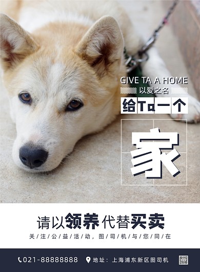 简约时尚宠物领养代替买卖公益海报