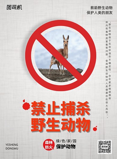 禁止捕杀野生动物宣传海报