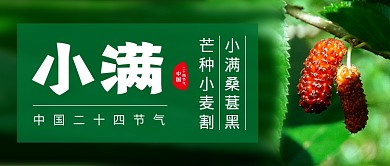 绿色简约节气小满新媒体配图