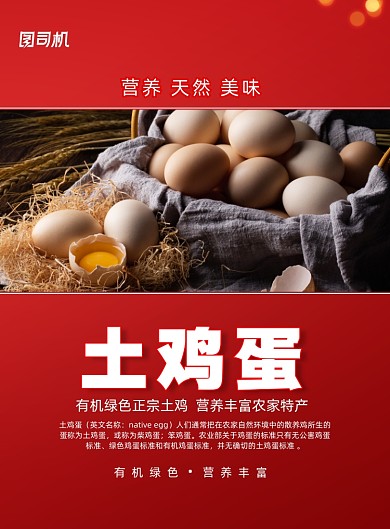 简约散养土鸡蛋宣传促销海报