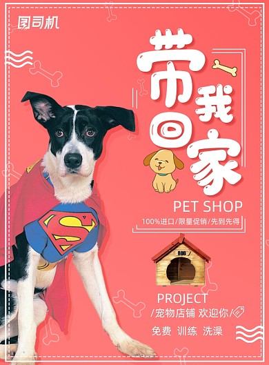 宠物带我回家爱心领养海报
