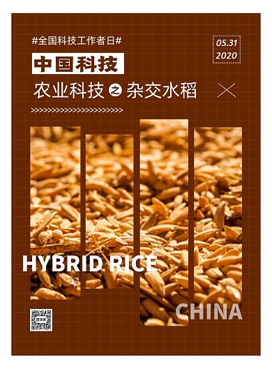 棕色扁平化时尚全国科技工作者日海报