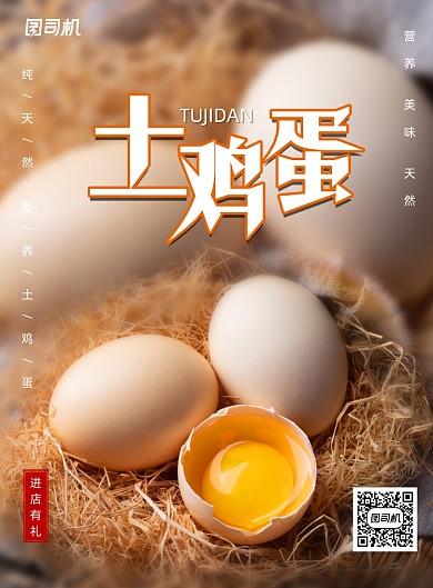 简约土鸡蛋宣传促销海报