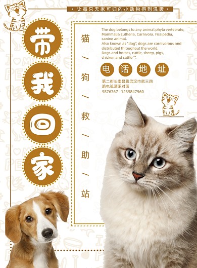 可爱风格公益宠物海报