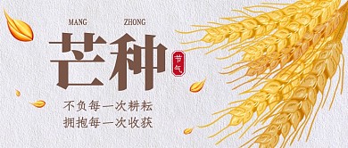 芒种传统节气公众号首图
