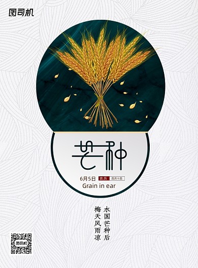 简约二十四节气芒种创意海报