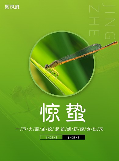 传统节日惊蛰创意海报