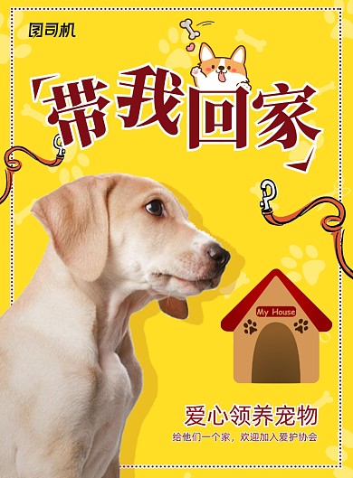 宠物带我回家爱心领养海报