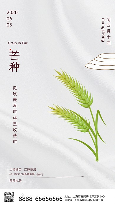 时尚简约芒种海报
