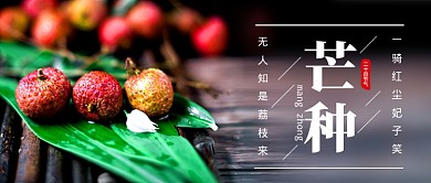 芒种二十四节气简约公众号首图