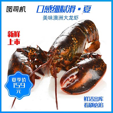 清新夏季天猫食品海鲜主图