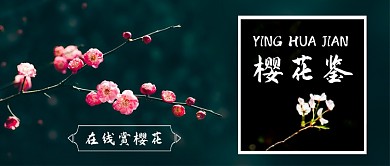 樱花鉴在线赏樱花手绘公众号首图