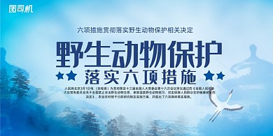 水彩贯彻落实野生动物保护决定