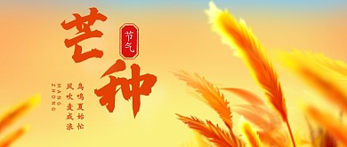 芒种传统节气公众号封面