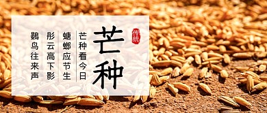 芒种节气简约新媒体配图