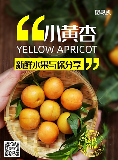 小黄杏新鲜水果与你分享海报