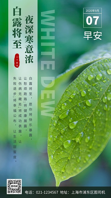 白露节日手机海报