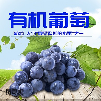 夏日清新水果葡萄主图直通车