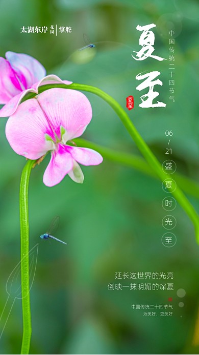 时尚简约夏至摄影海报