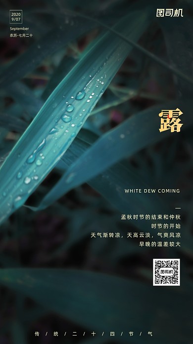 传统节气白露手机海报