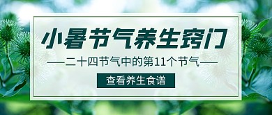小暑节气养生窍门简约新媒体配图