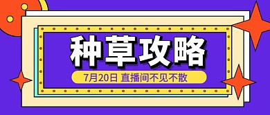 紫色时尚种草攻略服饰美妆公众号首图