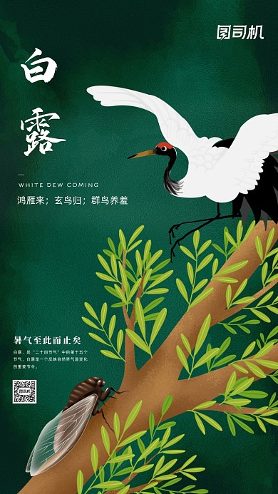 白露中国风传统节日节气手机海报