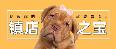 黄色可爱宠物售卖公众号首图