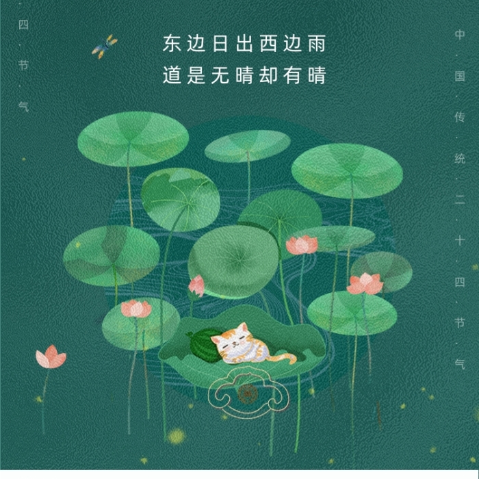 时尚简约夏至荷花海报