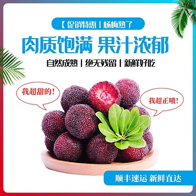 简约风水果杨梅主图